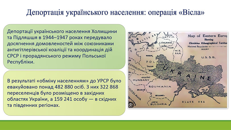 Образец оформления презентации к дипломной работе - результаты исследования 4