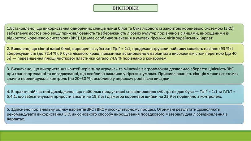 Образец оформления выводов к презентации