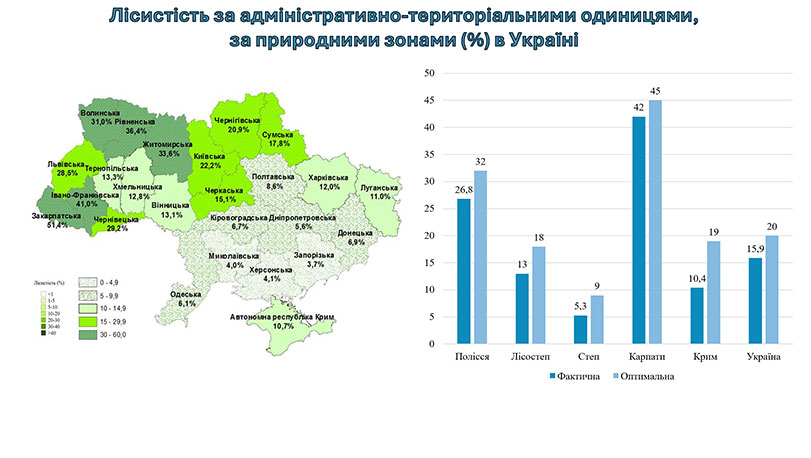 Образец оформления презентации к кандидатской диссертации - аналитическая карта
